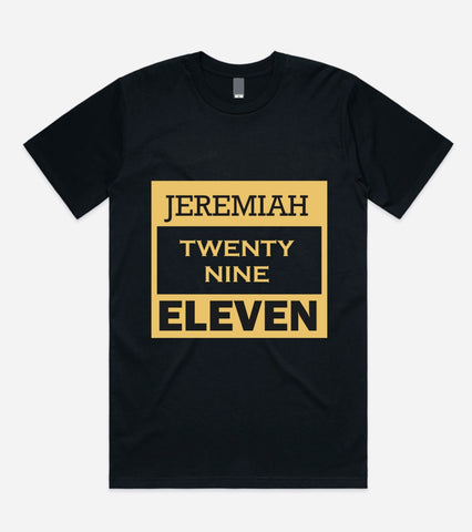 Jeremiah 29:11 T-shirt
